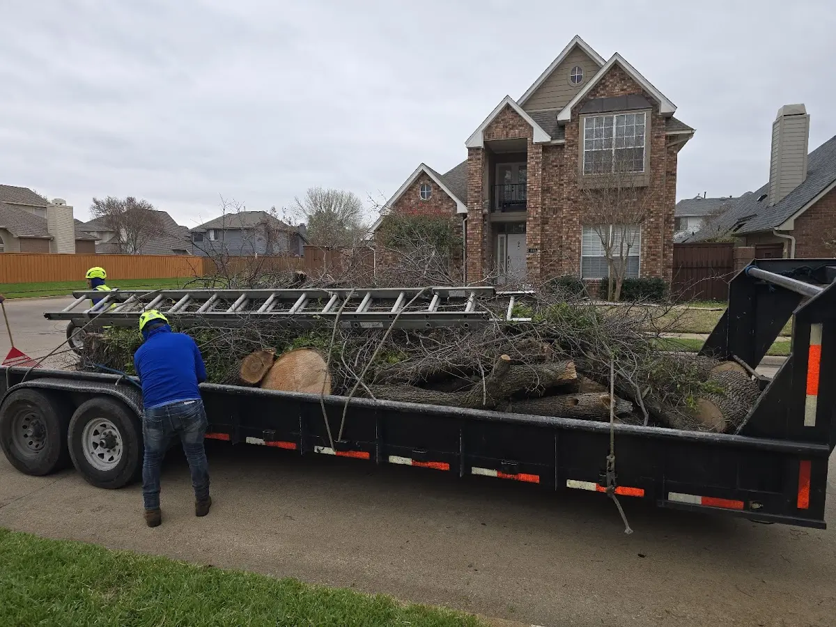 Expert Tree Removal with proper safety equipment in Cottonwood Falls